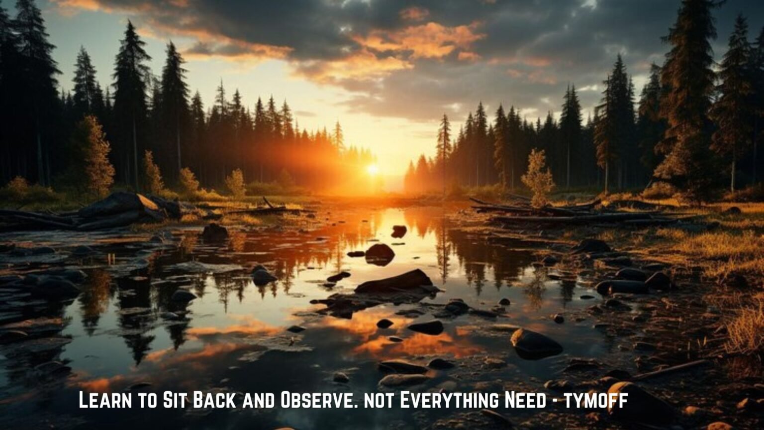 Learn to Sit Back and Observe. not Everything Need - tymoff information